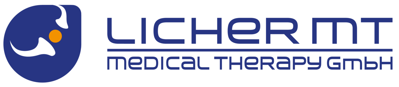 Logo Licher MT Gmbh